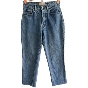 Everlane The Curvy 90s Cheeky Straight Jean Size 26 Crop Raw Hem